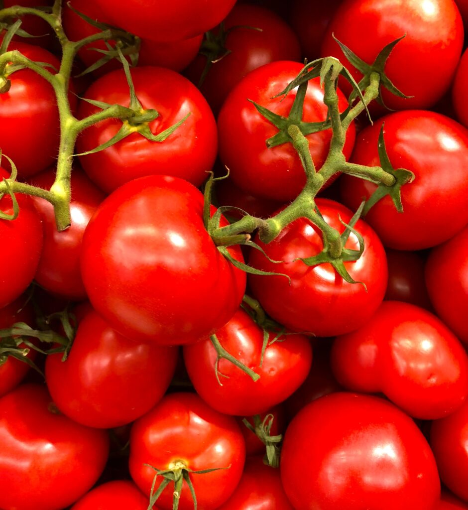 Tomato Festival West Cape May